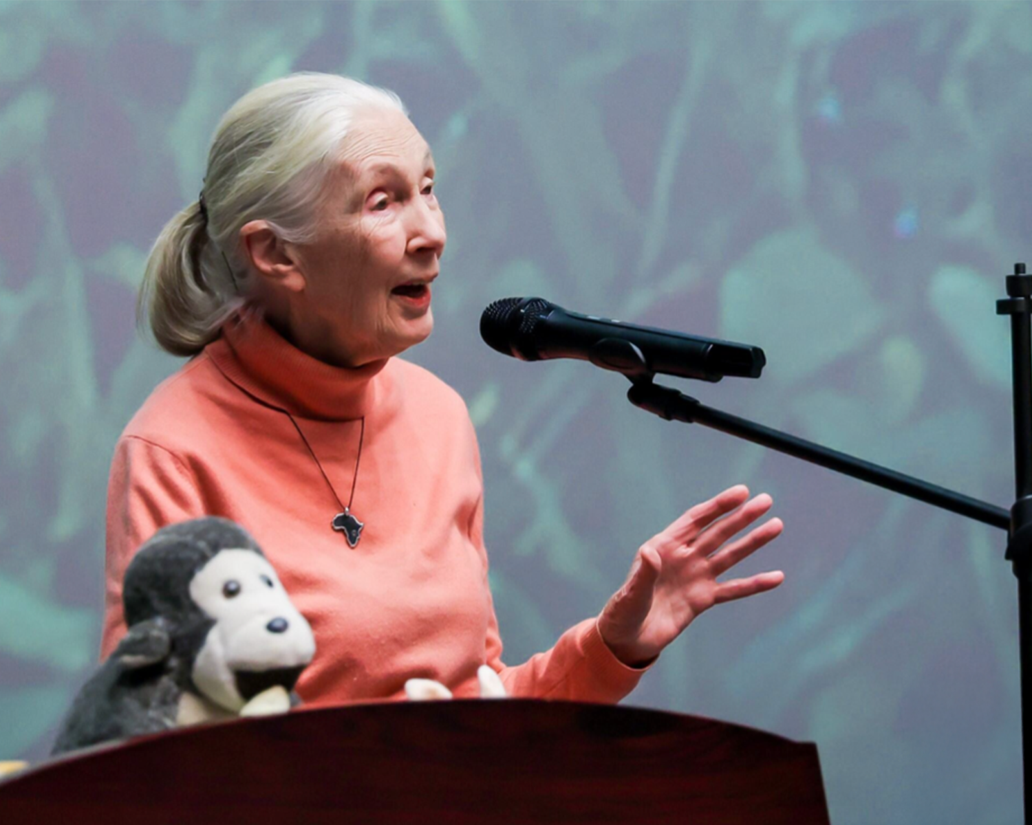 1216 Roots and Shoots Jane Goodall 01