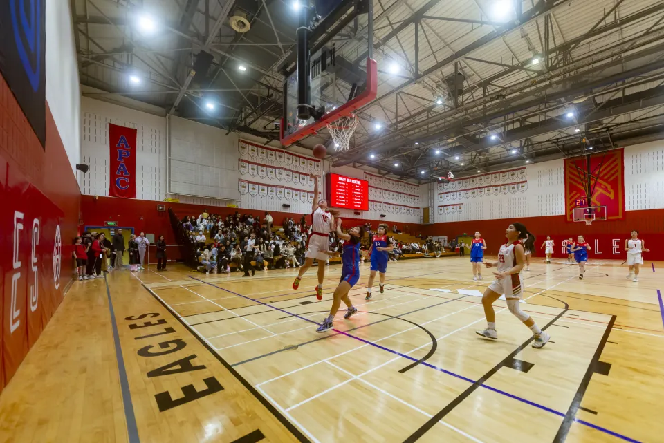 basketball