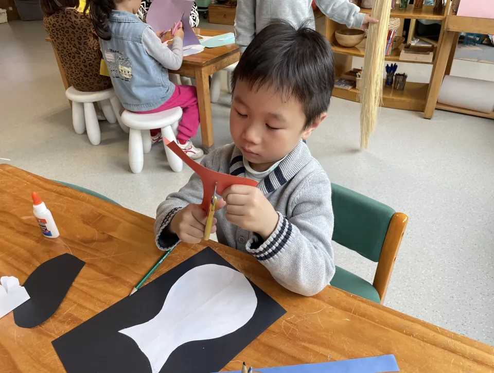 visual arts at sas