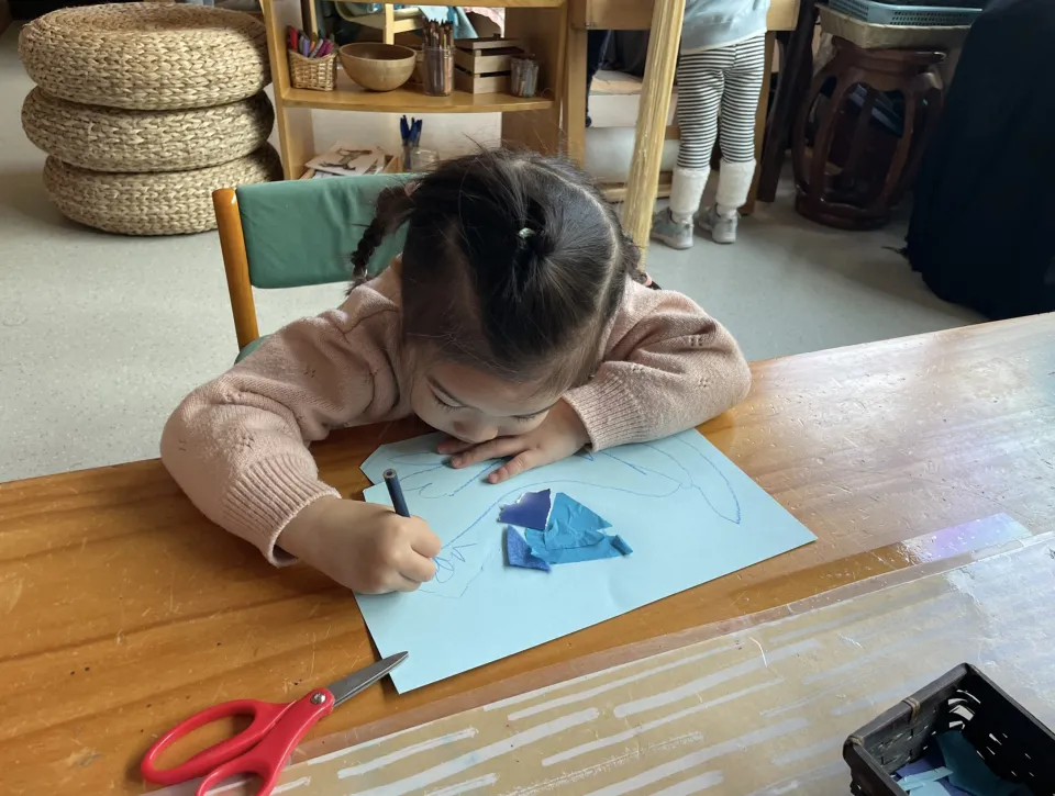 visual arts at sas