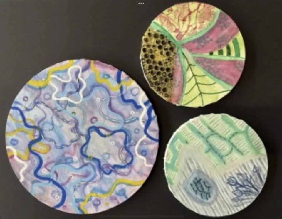 visual arts at sas