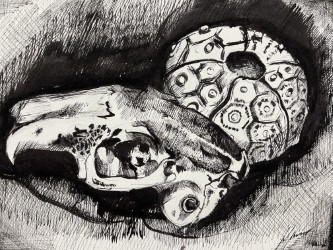 visual arts at sas