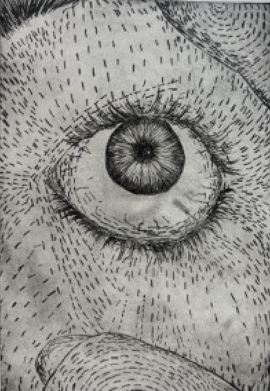 visual arts at sas